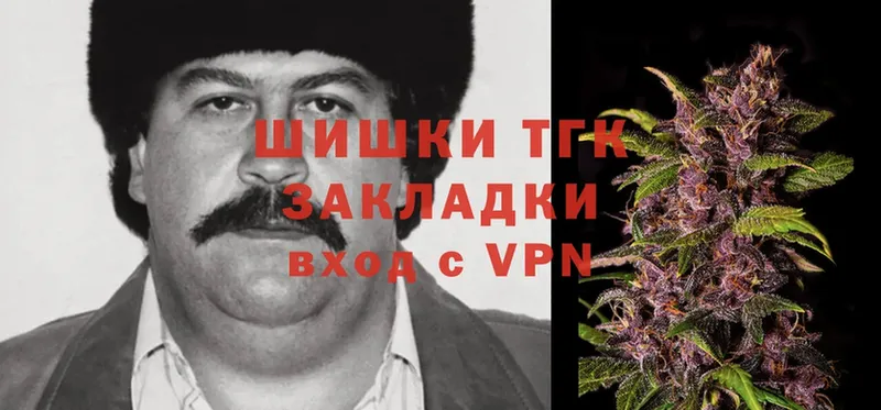 Виды наркотиков купить Рошаль Cocaine  Alpha-PVP  Гашиш  МЕФ 